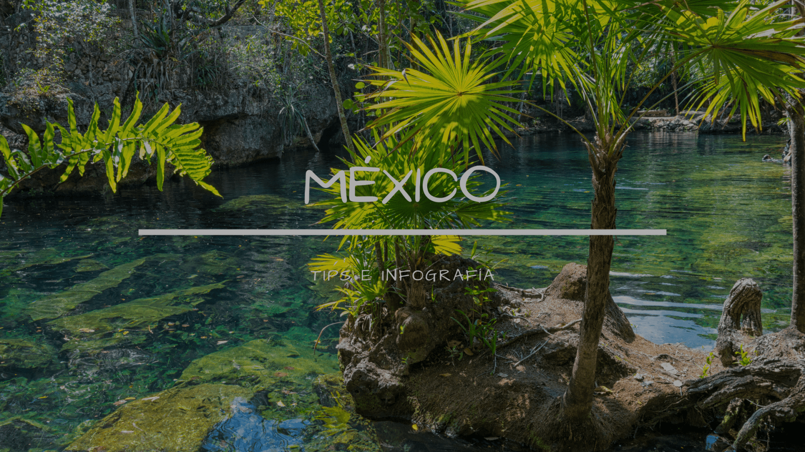 mexico tips