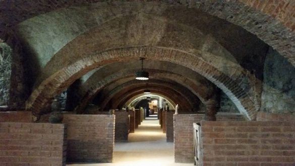 bodega1 1