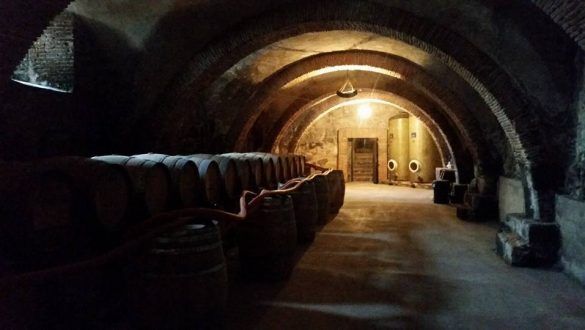 bodega1