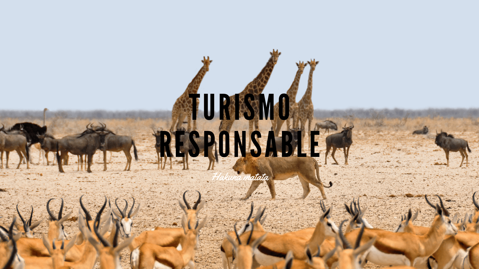 turismo responsable 1