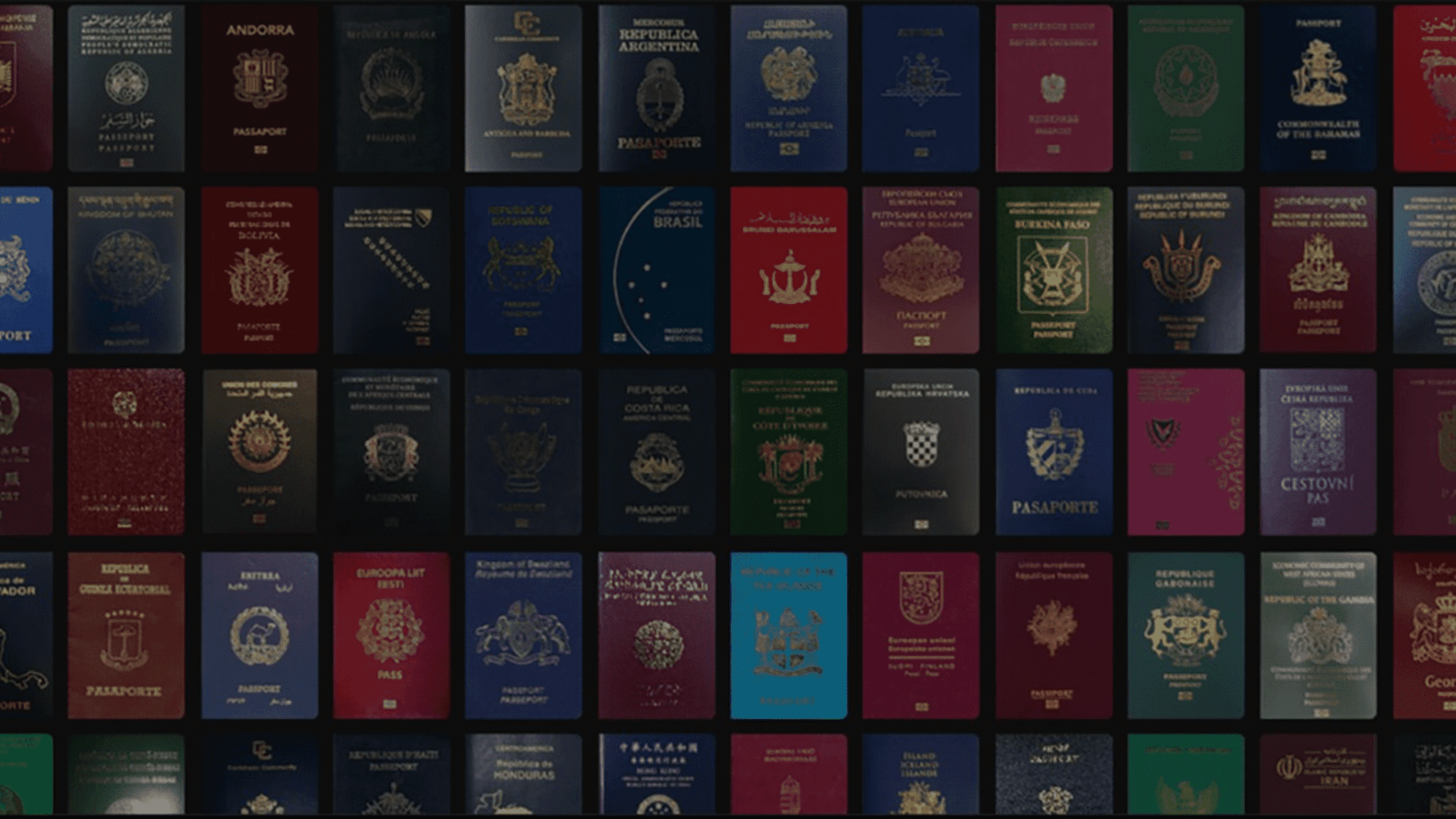 pasaportes poderosos
