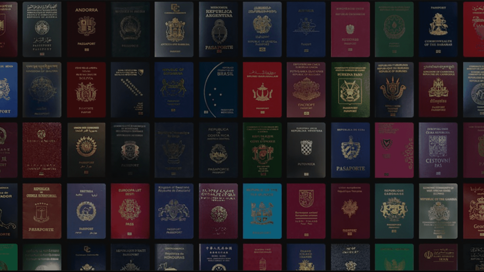pasaportes poderosos