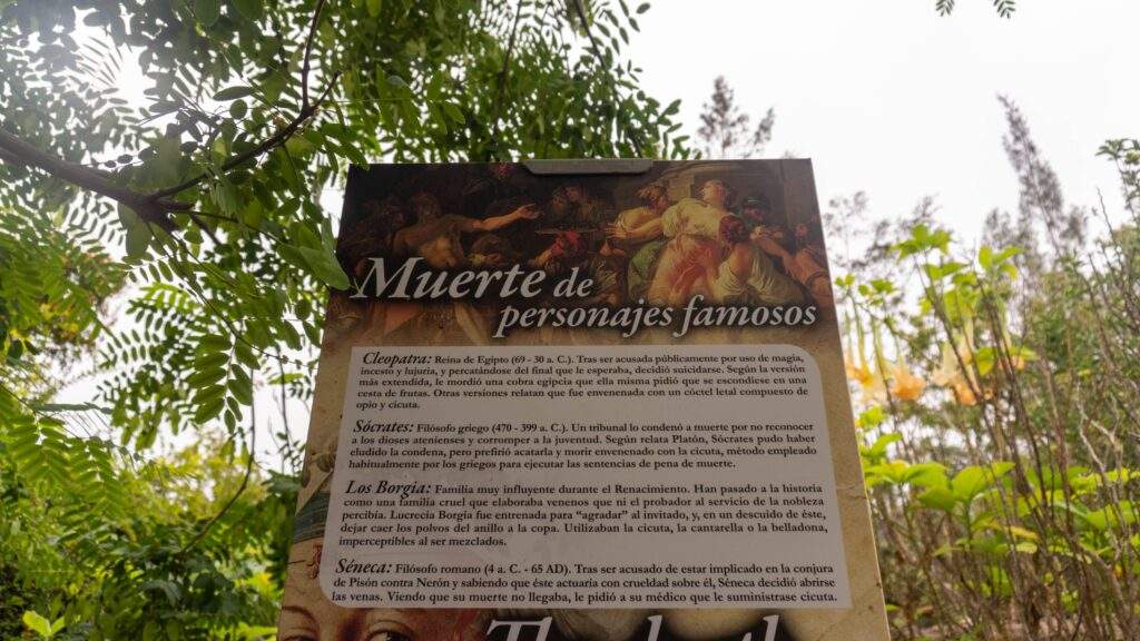 Pirámides de Güímar