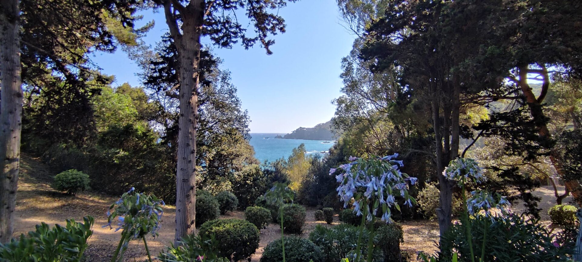 jardines santa clotilde1