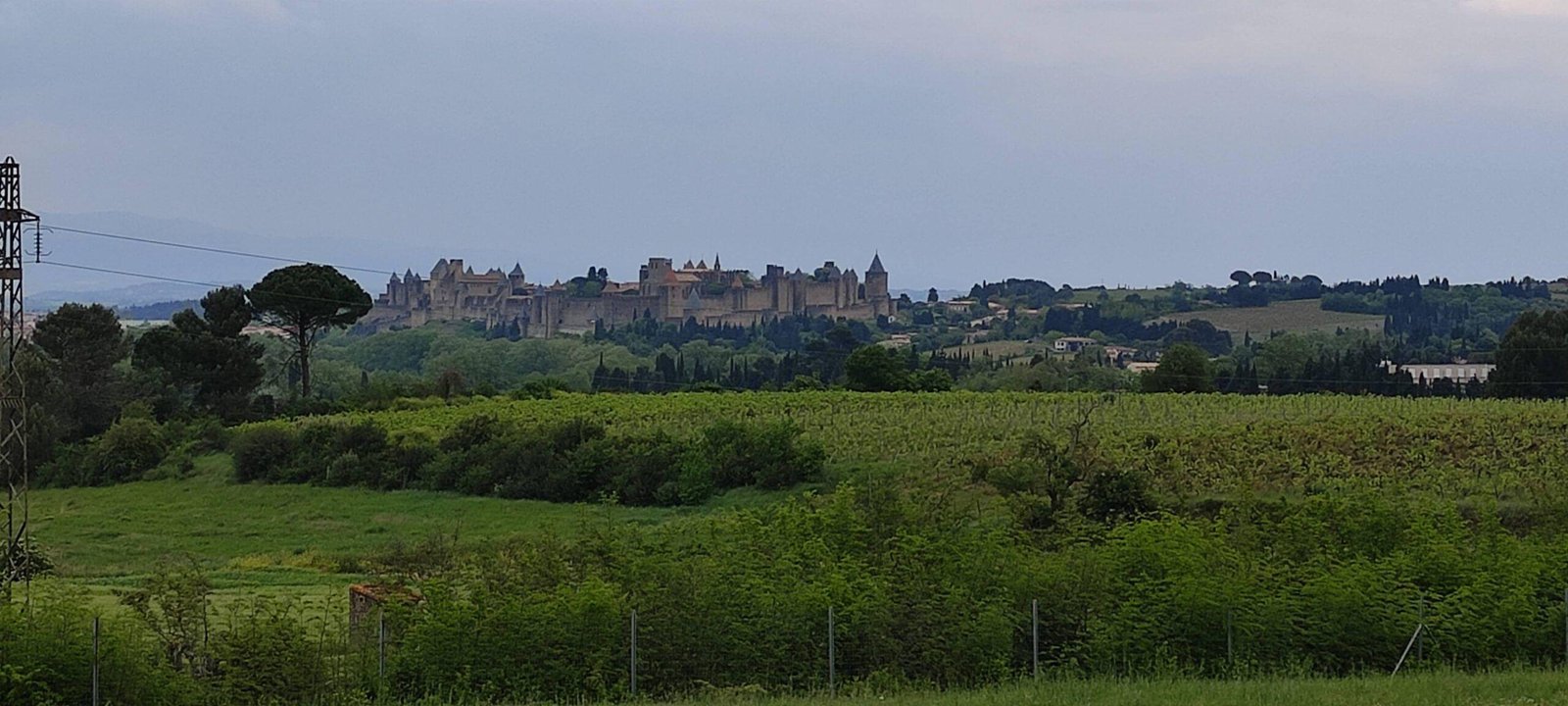 IMG 20220502 161925 scaled