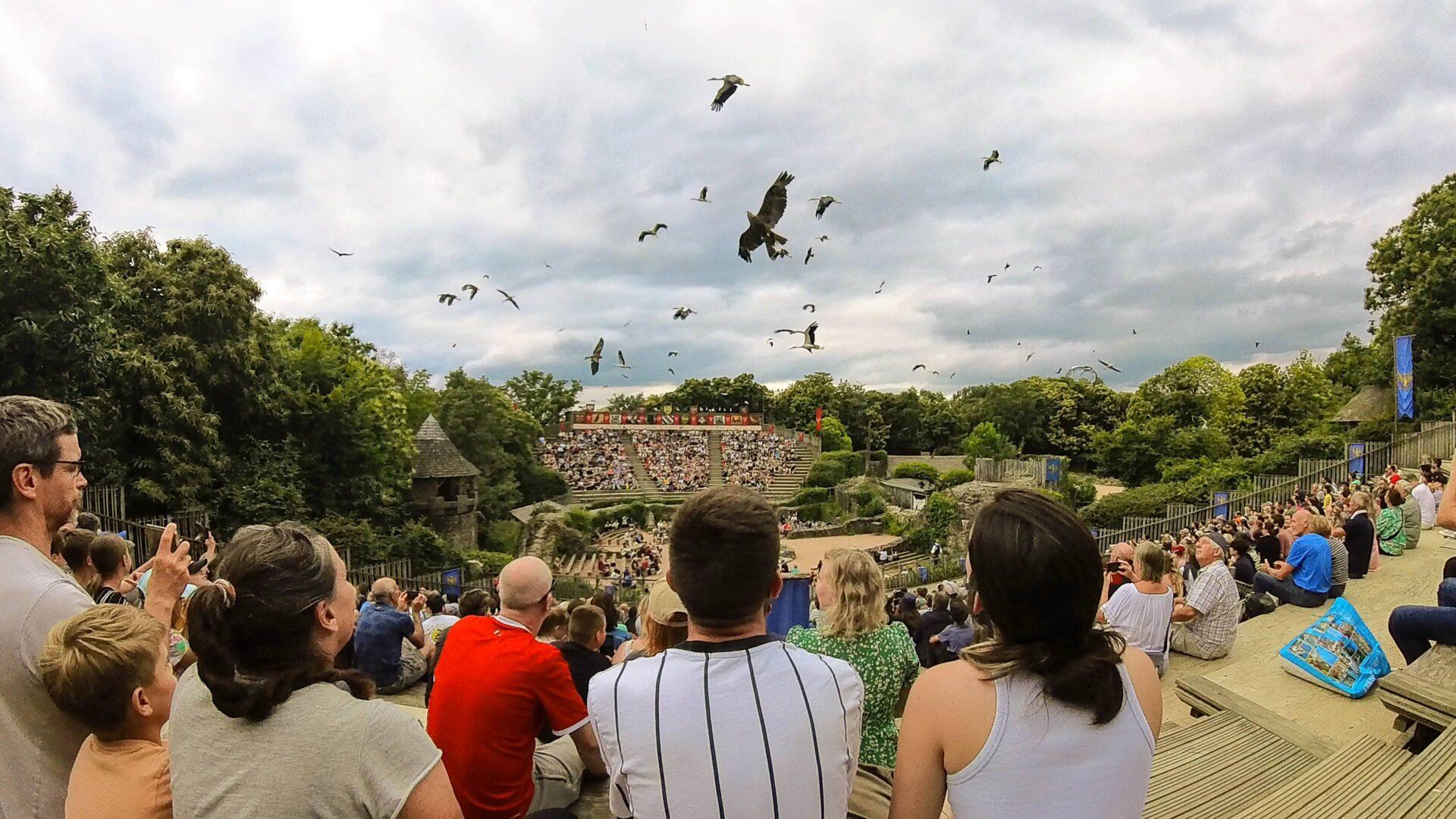 Le Bal des Oiseaux Fantômes - Puy du Fou Fr