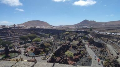 jardin del cactus lanzarote
