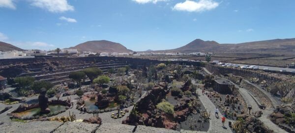 jardin del cactus lanzarote