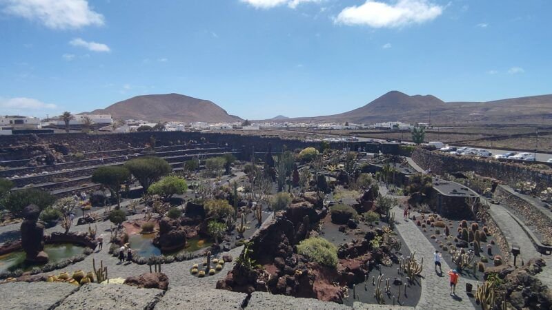 jardin del cactus lanzarote
