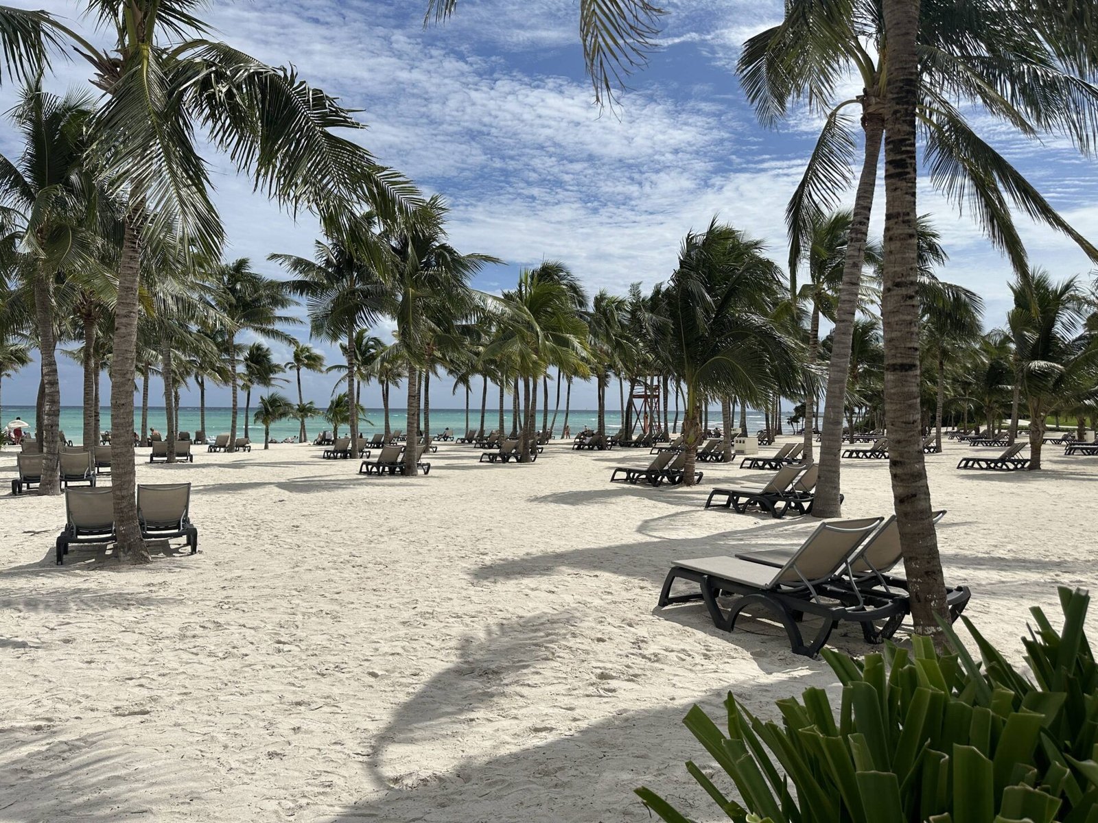 Playa Hotel Barceló Maya Riviera
