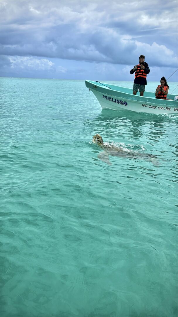 Tortuga en Sian Ka´an, Riviera Maya México