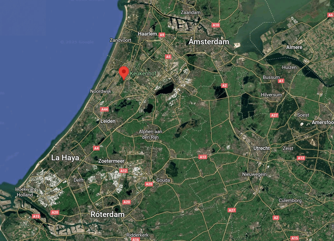 Keukenhof ubicacion