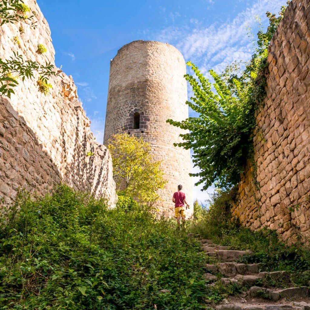 Chateau Pflixbourg DSC4306 ©INFRA 1024x1024 1