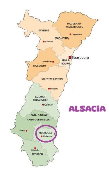 istockphoto 1418106643 612x612 1