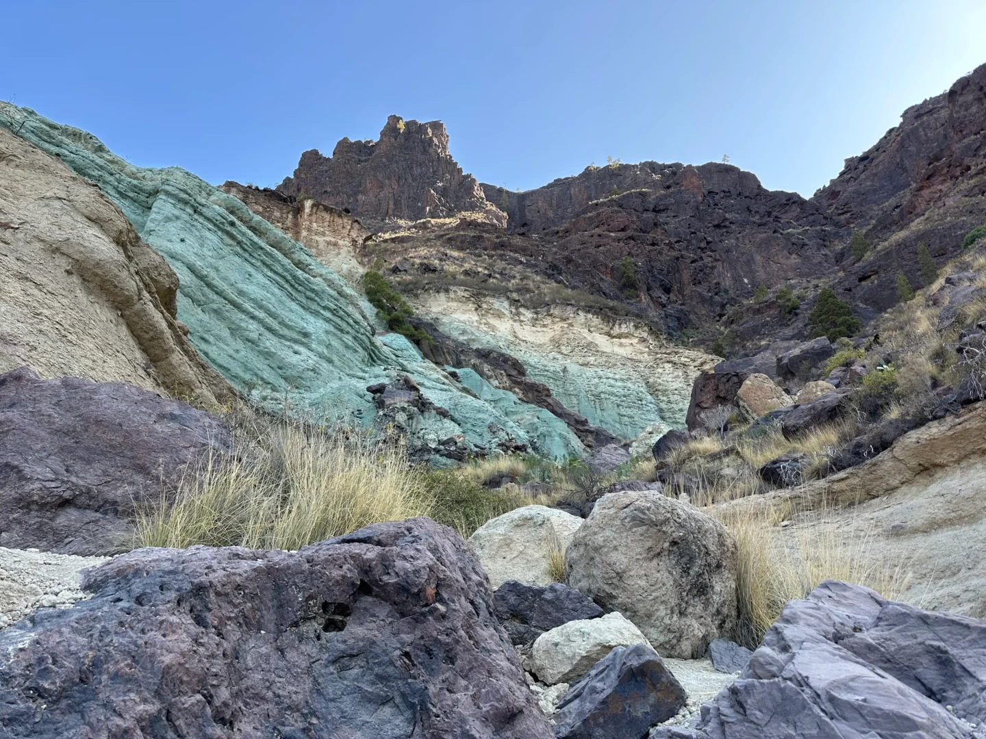 azulejos de veneguera