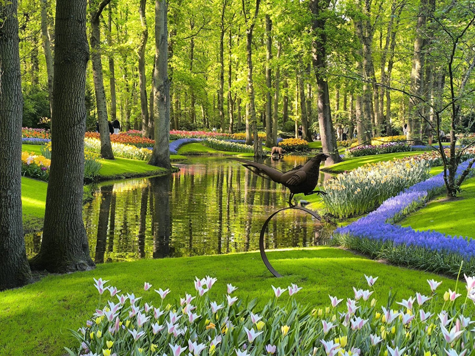 riachuelo flores keukenhof