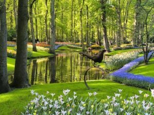 riachuelo flores keukenhof