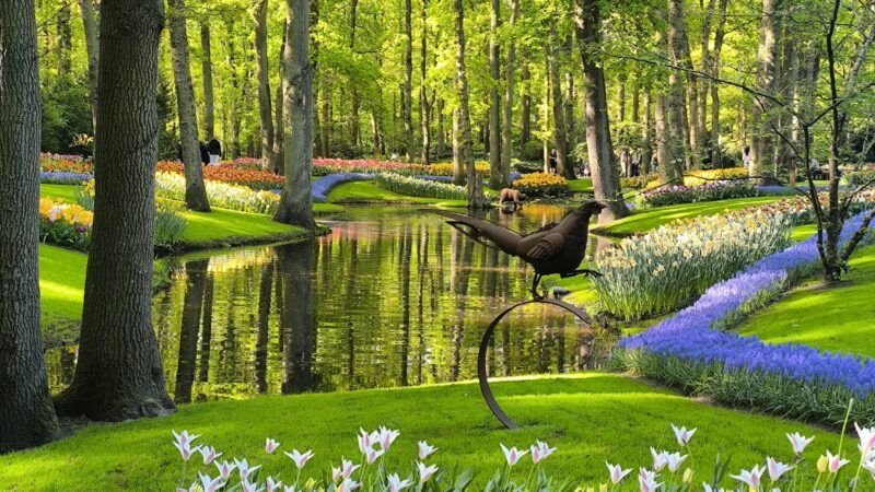 riachuelo flores keukenhof