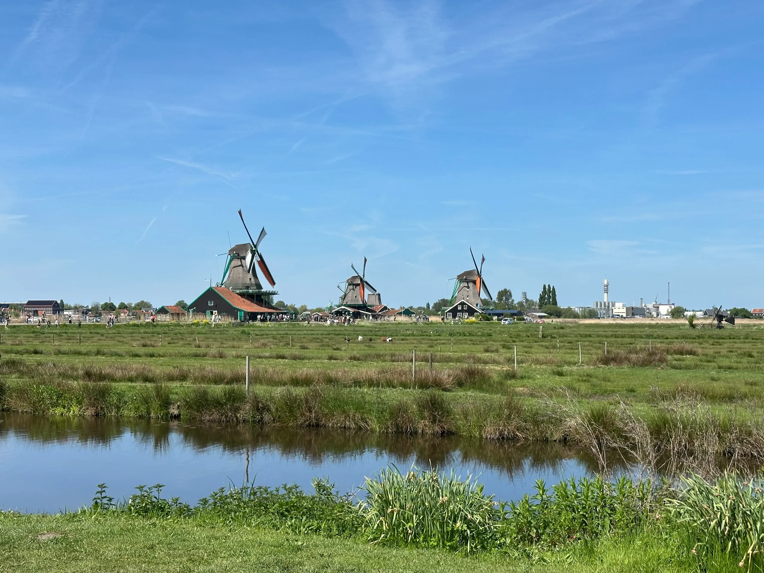 zaanse schans scaled