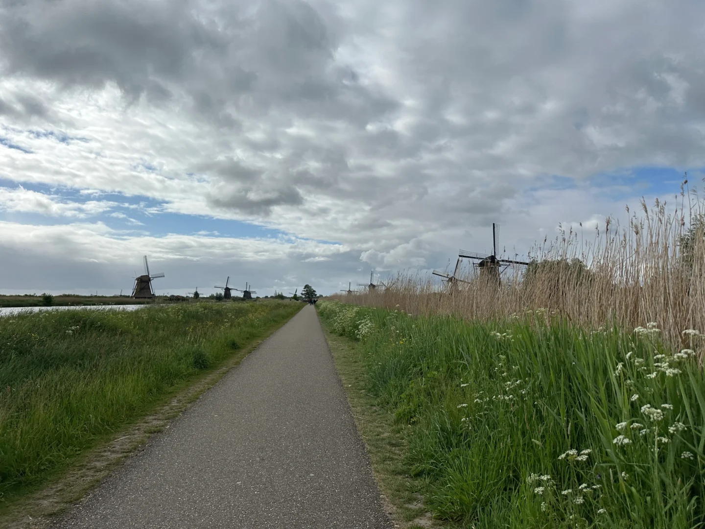 Molinos Kinderdijk Países Bajos