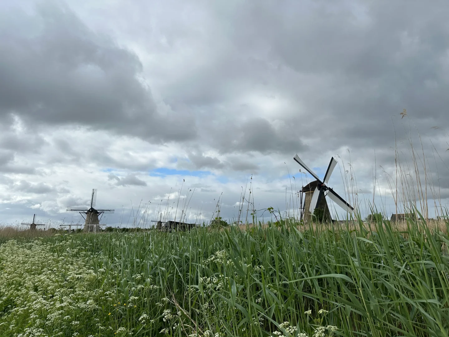 Molinos Kinderdijk Países Bajos