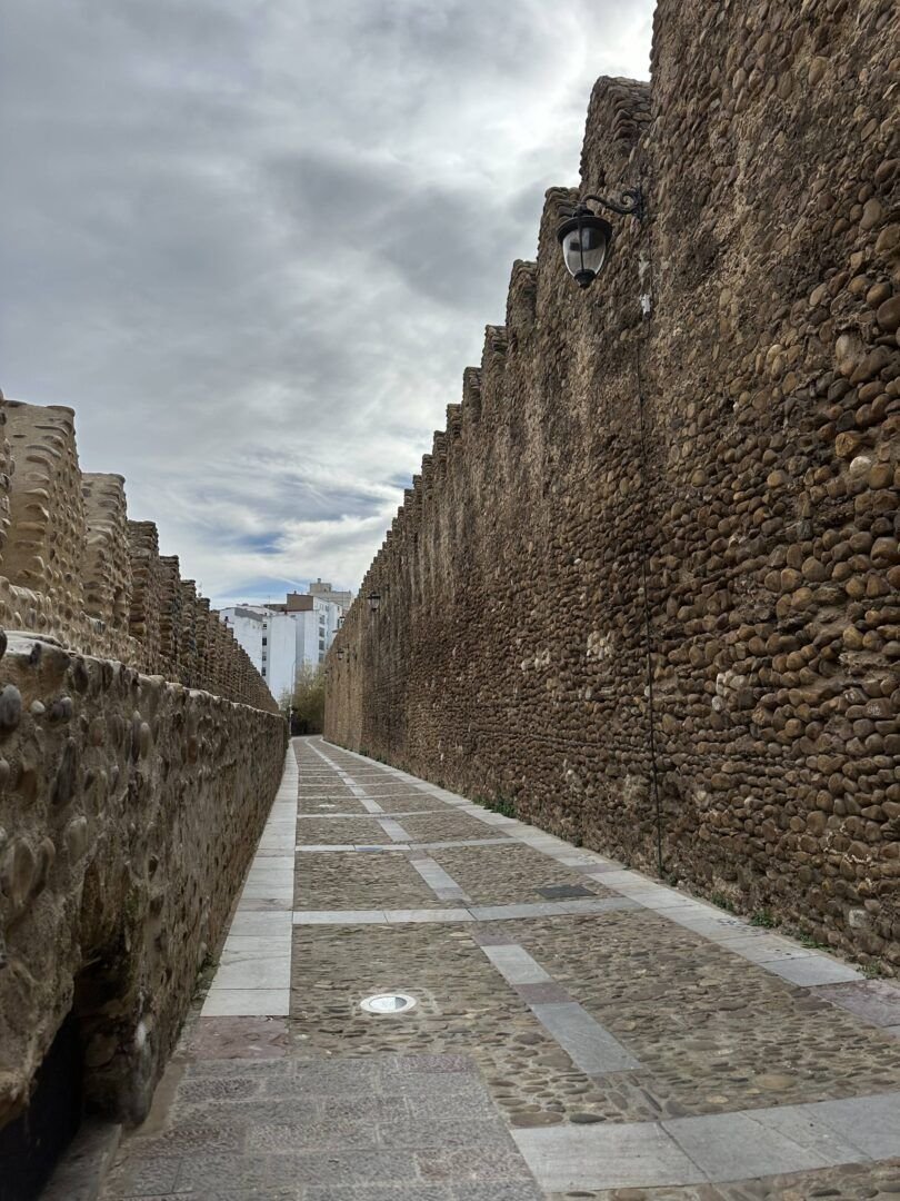 muralla leon
