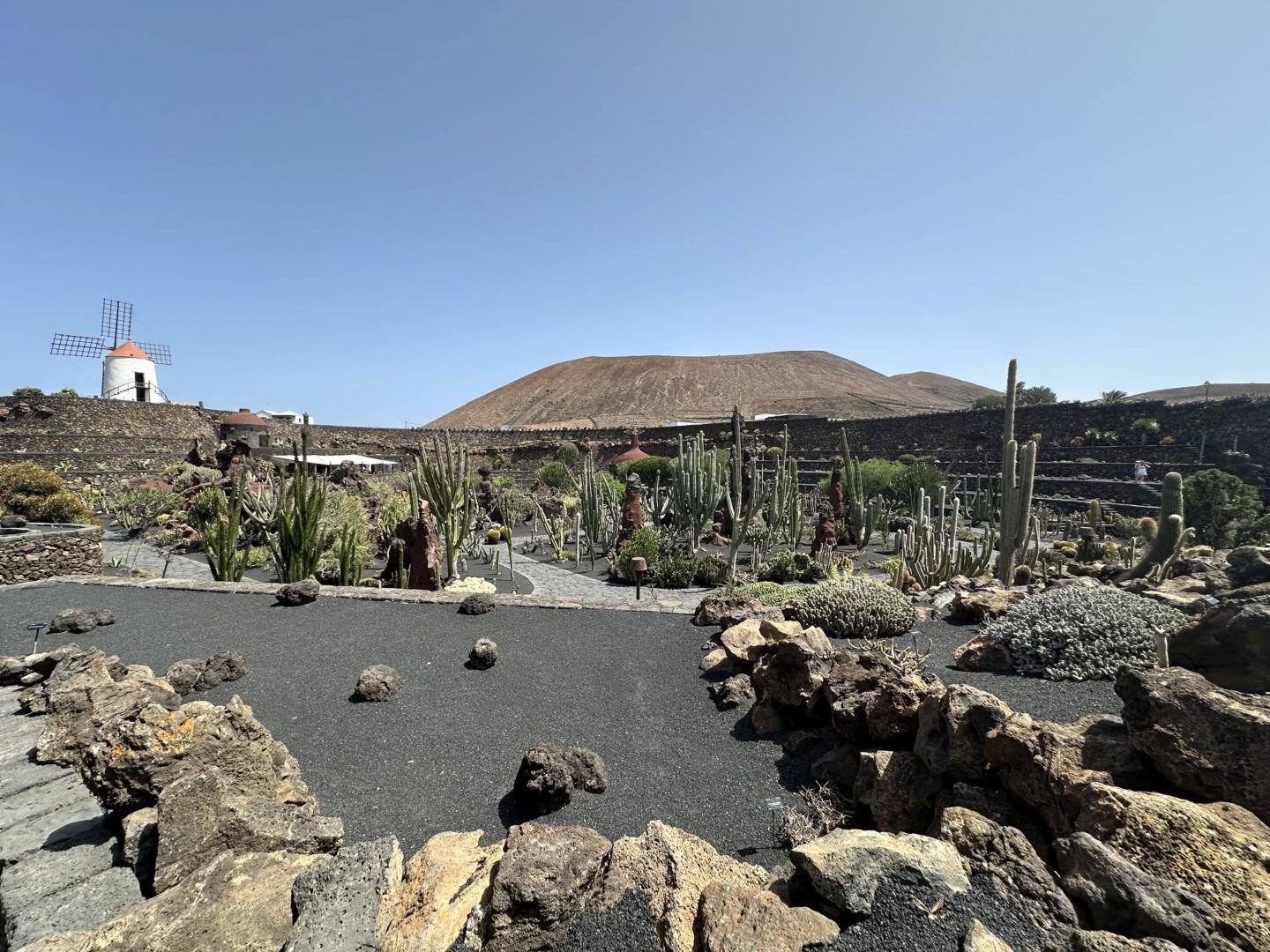 Jardin del Cactus Lanzarote