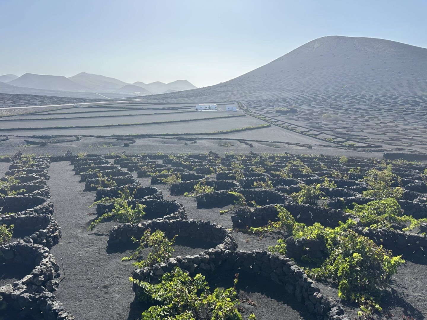 La Geria lanzarote