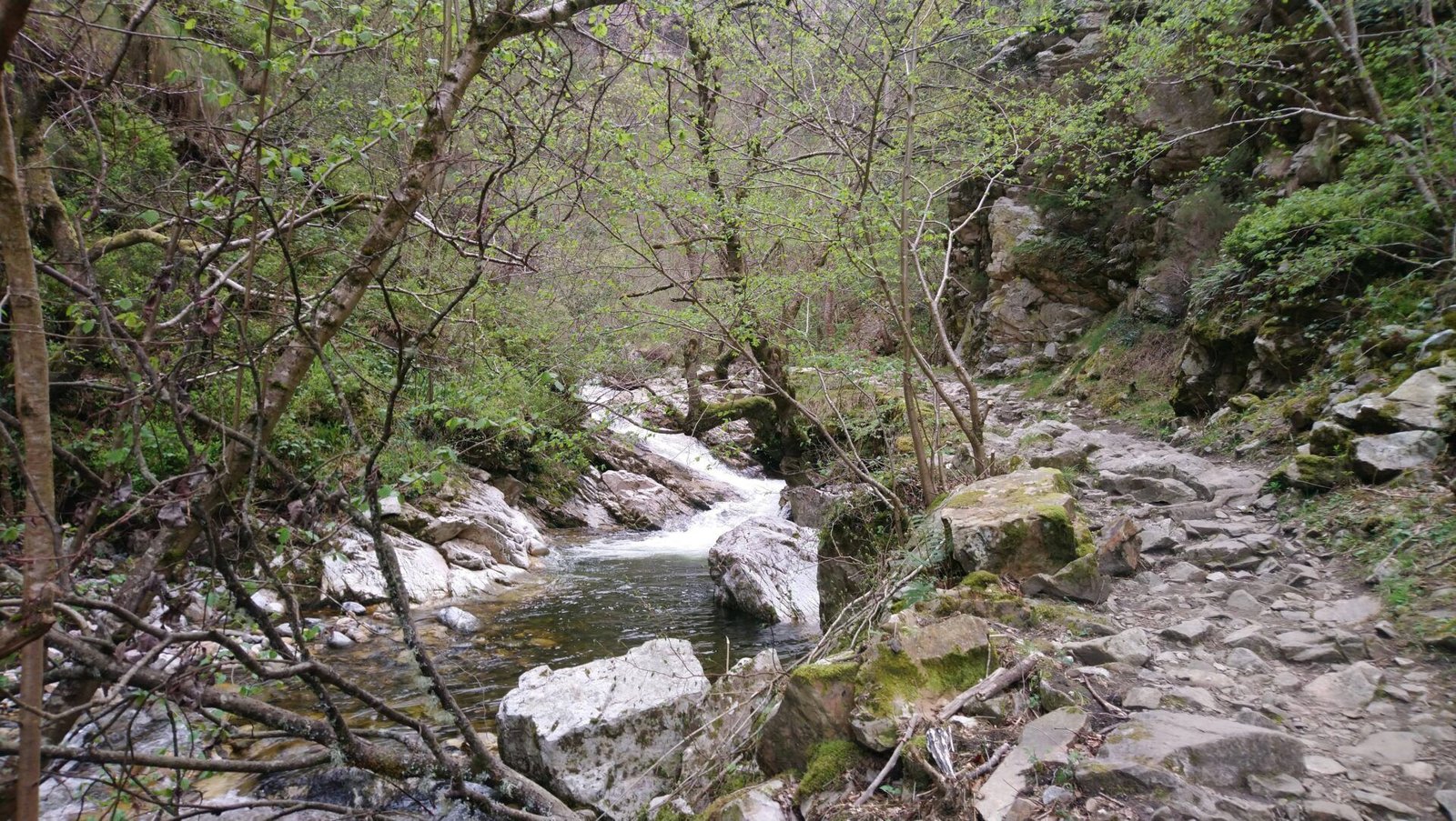 Ruta del Alba