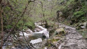 Ruta del Alba