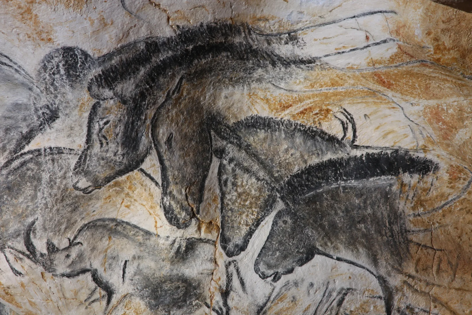 Panneau des chevaux detail© Patrick Aventurier Grotte Chauvet 2 Ardeche