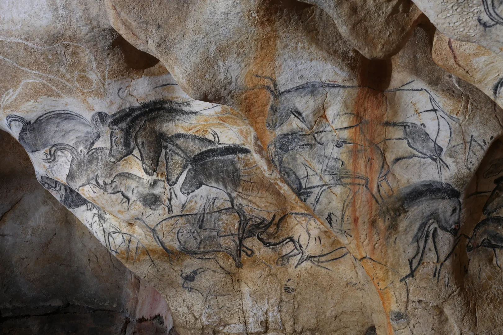 Panneau des chevaux large© Patrick Aventurier Grotte Chauvet 2 Ardeche