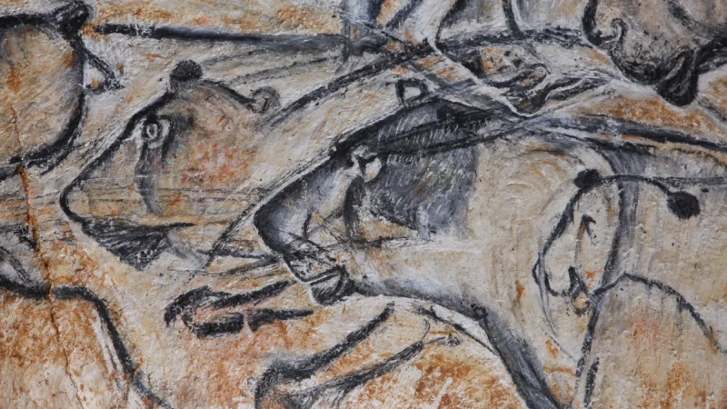 Panneau des lions detail© Patrick Aventurier Grotte Chauvet 2 Ardeche