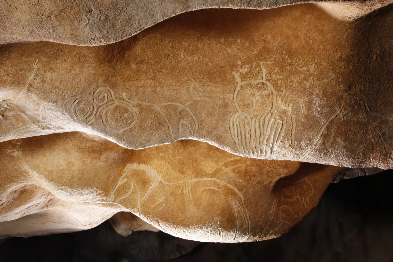 oeuvres traces au doigt© Patrick Aventurier Grotte Chauvet 2 Ardeche