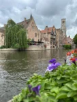 Brujas 1