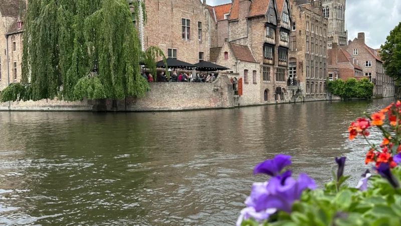 Brujas 1
