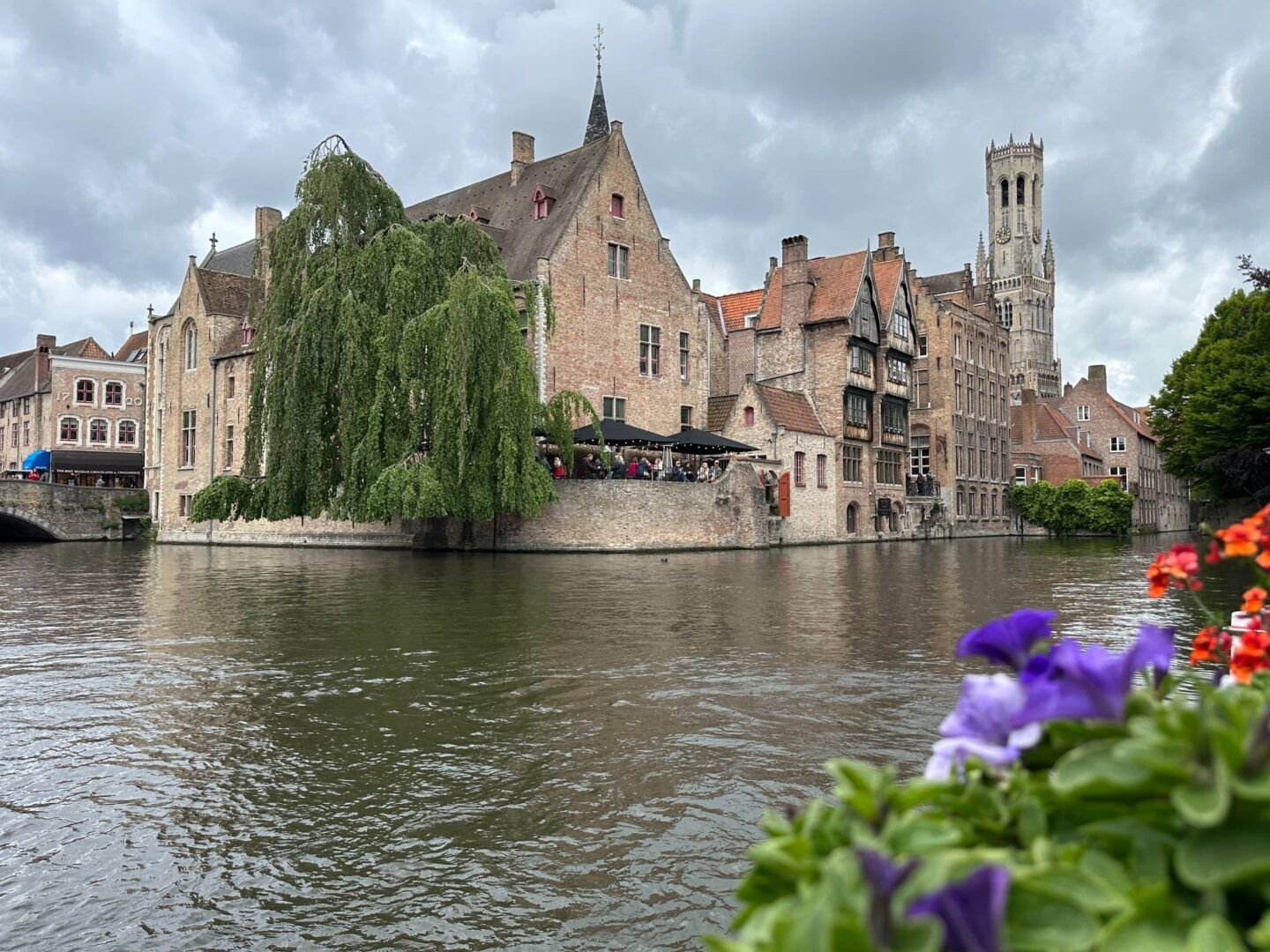 Brujas flores