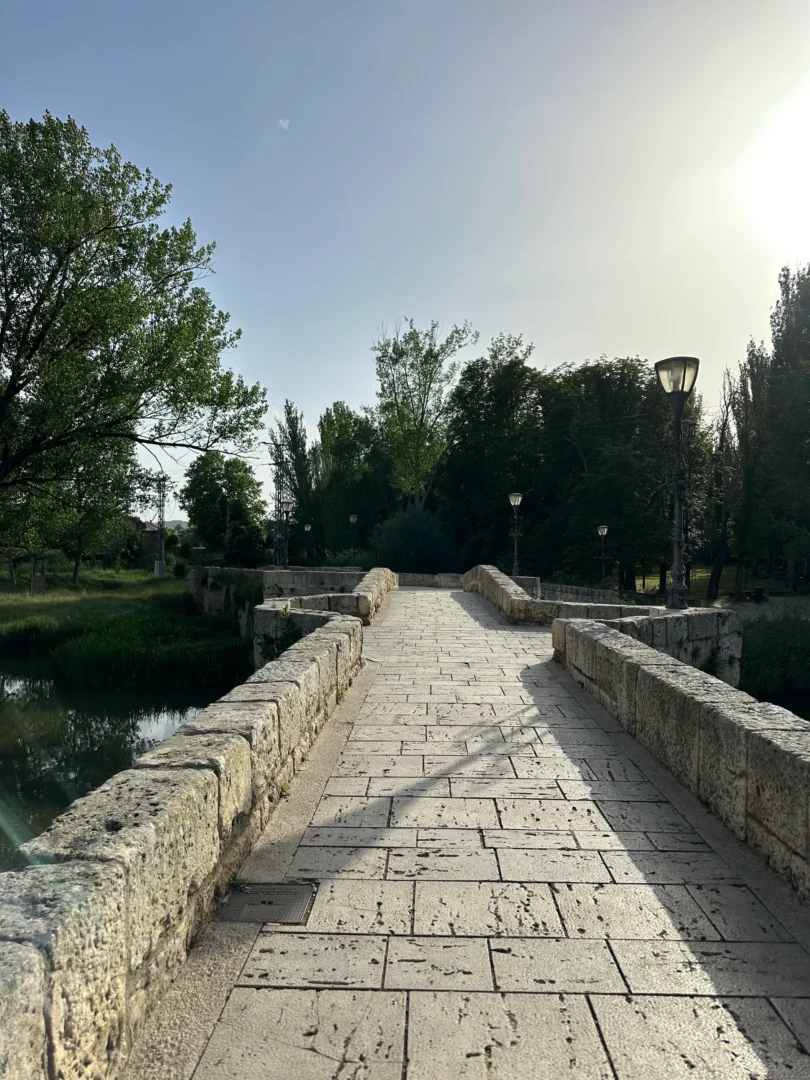puente mas antiguo palencia