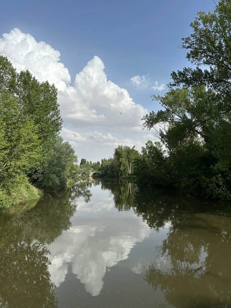 rio carrion