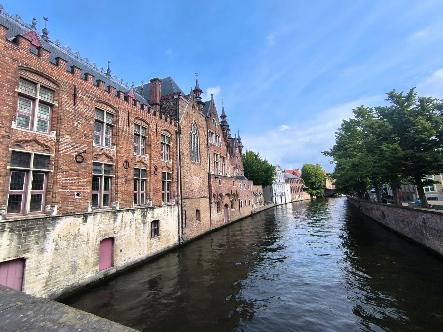 Groenerei brujas