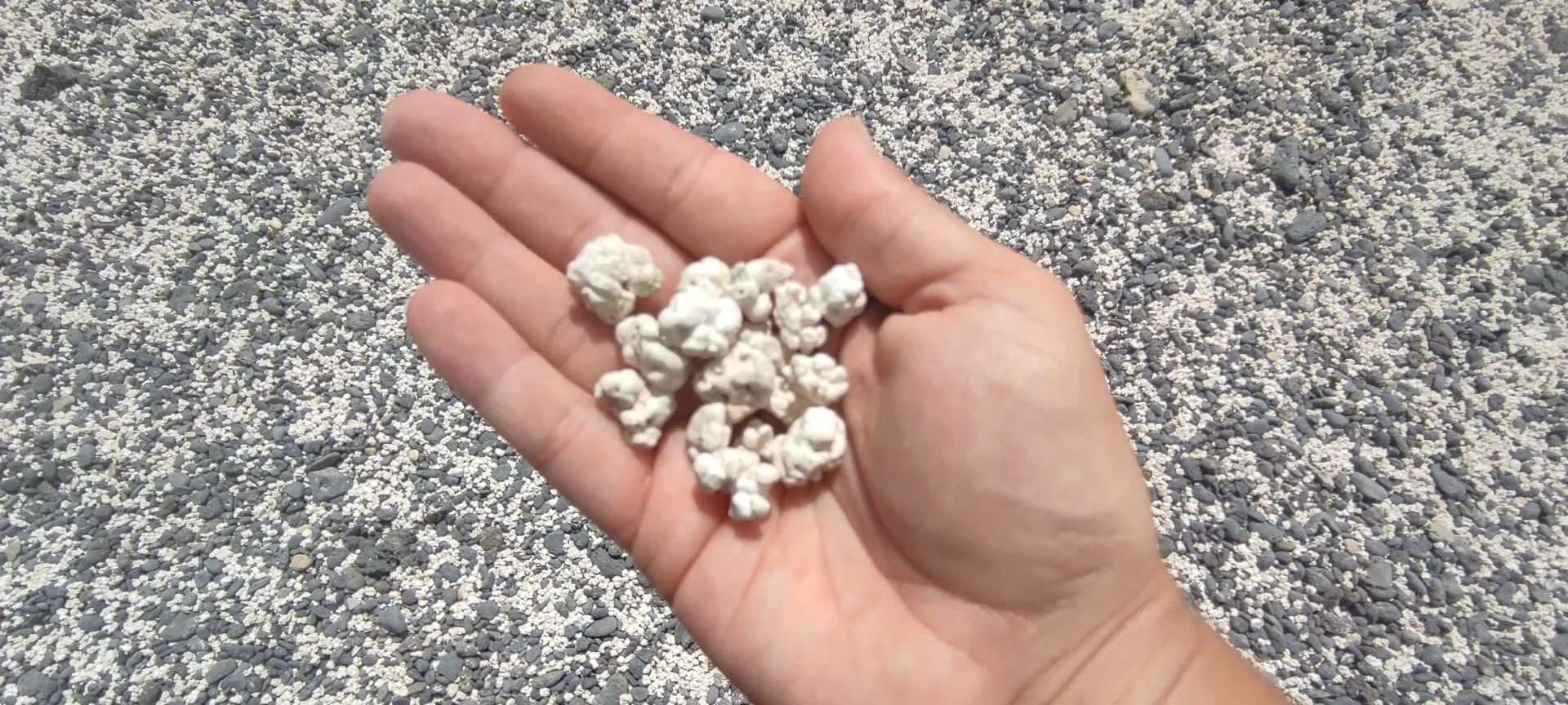 popcorn beach