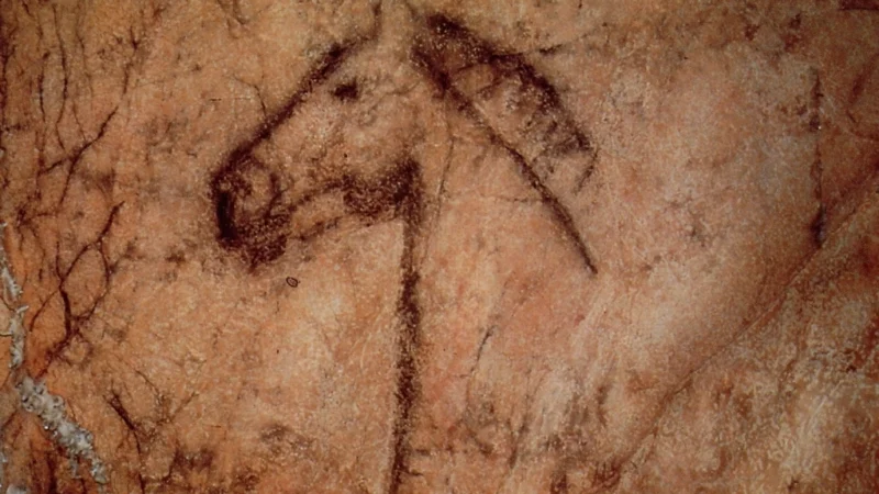 Cabeza caballo