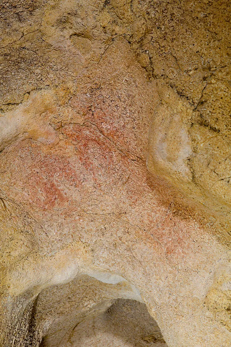 Cueva de Tito Bustillo