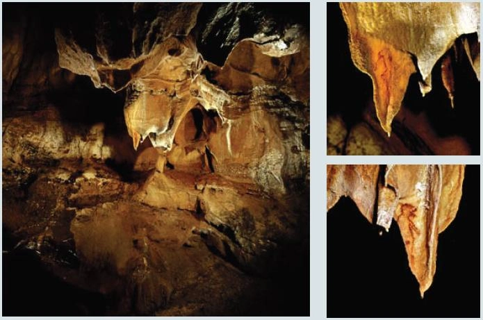 Galería de los Antropomorfos. Cueva de Tito Bustillo.