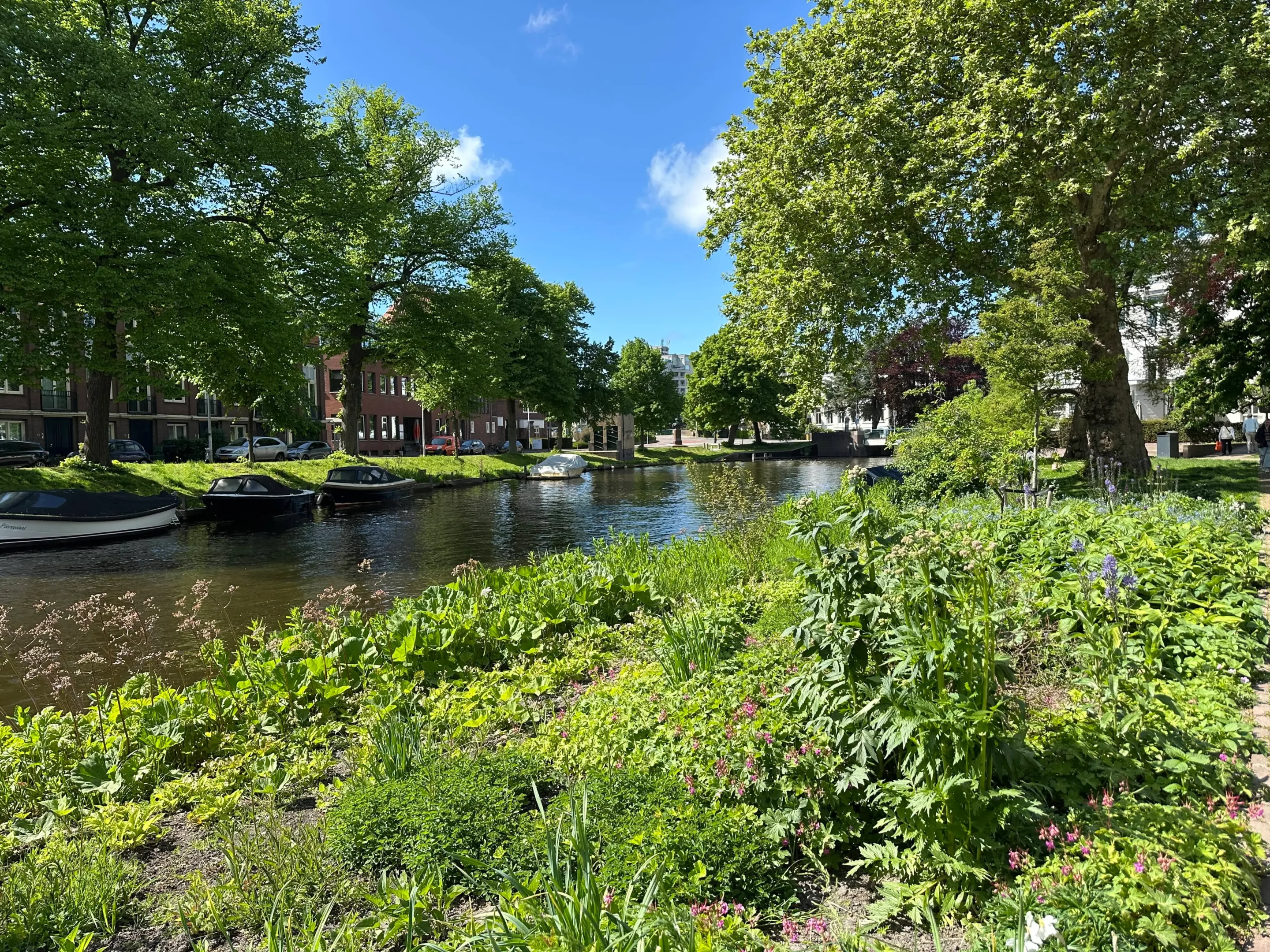Rembrandtpark Leiden