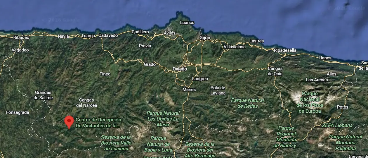 bosque de Muniellos, Asturias